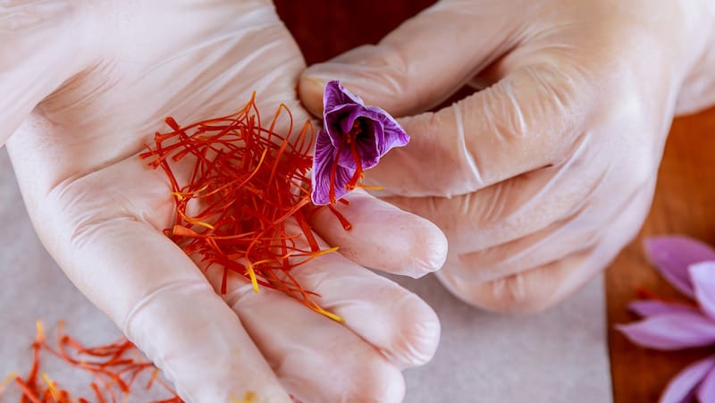 تصویر 4 از زعفران سرگل اعلا با رنگ دهی خیره کننده و انتخابی برای آشپزی حرفه ای